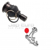 Ball Joint Front Lower Arm Nissan Elgrand  E52 TE52 2.5i 2010-2016 