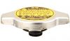 Radiator Cap Lexus RX   1MZ-FE RX300 SE / SEL 4WD 24v DOHC AUTO 2003 -2006 