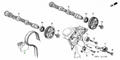 Timing Belt Honda Elysion  J30A 3.0i 2004-2011 
