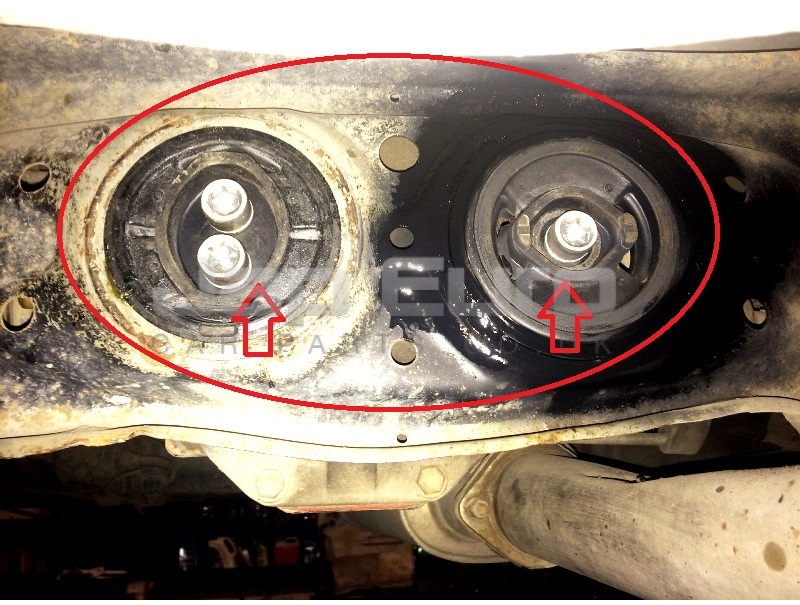 LEXUS IS200 IS300 9905 REAR DIFF ARM BUSH / BUSHES FOR DIFFERENTIAL