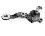 Front Lower Ball Joint - Right Lexus IS Mark 1  2JZGE IS300 3.0i 24-Valve DOHC EFi Saloon  2001-2005 