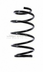 Front Coil Spring