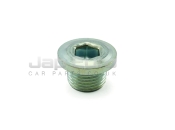 Transmassion Case Sump Plug Nut