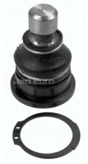 Ball Joint - Lower Nissan X Trail  MR20DE 2.0 5Dr SUV 4WD 6 SPEED 2007  