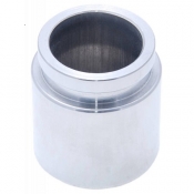 Cylinder Piston (Rear)
