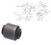 Rear Lateral Track Control Arm and Hub Knuckle Bushing