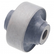 Rear Arm Bushing Front Arm