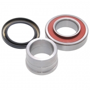 Rear Axle Wheel Bearing Kit