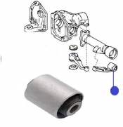 Arm Bushing Differential Mount