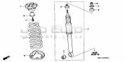 Rear Coil Spring
