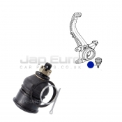Lower Control Arm Ball Joint - Front Honda Elysion  J30A 3.0i 2004-2010 