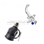 Lower Control Knuckle Arm Ball Joint - Front