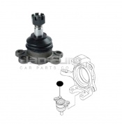 Front Knuckle Ball Joint