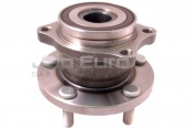 Rear Wheel Hub