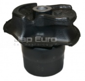 Rear Trailing Arm Pin Bush