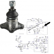 Upper Control Arm Ball Joint - Front