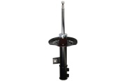 Front Shock Absorber - Left