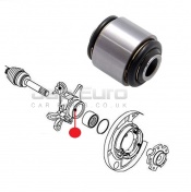 Arm Bushing Rear Assembly