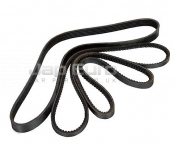 Power Steering Belt Toyota Altezza  1GFE 2.0i Saloon 24 Valve (Import) 2001-2005 