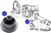 Front Different Mount Bush Toyota Landcruiser   1HD-FTE AMAZON 4.2 TURBO GX, VX 5Dr  1998-2007 