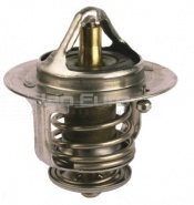 Thermostat 76.5c