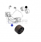 Differential Mounting Front Bush Lexus RX  1MZ-FE RX300 4WD (24V) DOHC Auto 2000-2003 