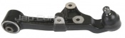 Lower Arm - Rear