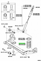 Rear Coil Spring