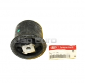 Genuine Rear Trailing Arm Bush